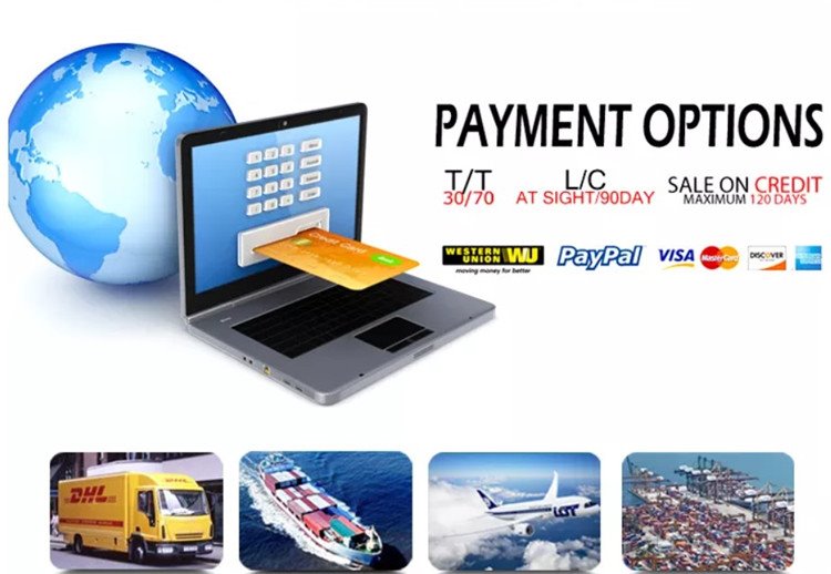 24V brushless dc motor payments 24V brushless dc motor payments