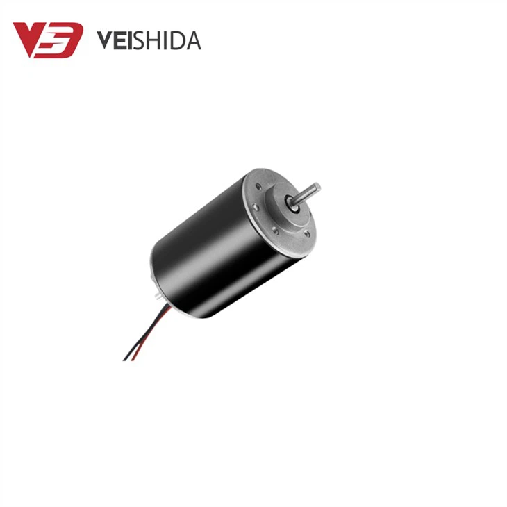 Dual Output Shaft 12V-24V Carbon Brush Motor