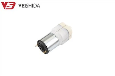 মিনি বৈদ্যুতিক এয়ার পাম্প মোটর